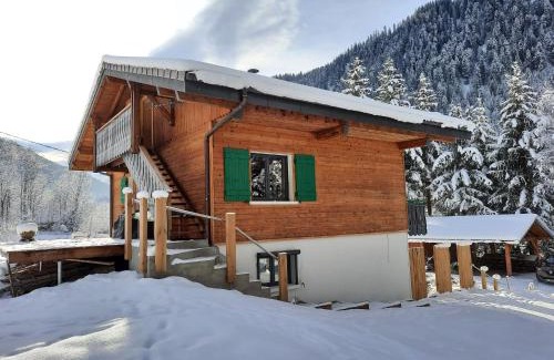 La Chapelle-d'Abondance Apartment | Chalet la sapiniere