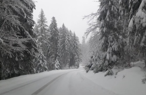 Le Grand Valtin Ski Chalet | Chalet le Chouca