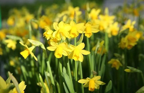 Le Grand Valtin Ski Chalet | Chalet le Chouca