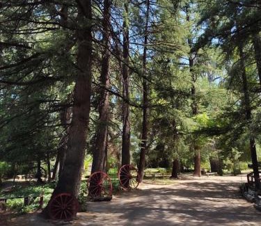 San Rafael House | Chalet Los Troncos