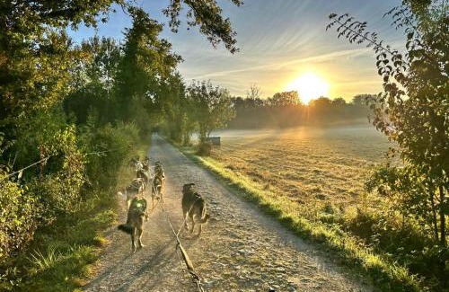 Echire House | Chalet Nature & chiens de traîneaux