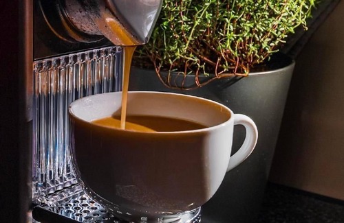 Murren Apartment | Chalet Raufthubel 2nd floor