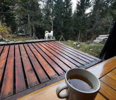 Sella Nevea Ski Chalet | ~Chalet Rifugio tra i boschi~