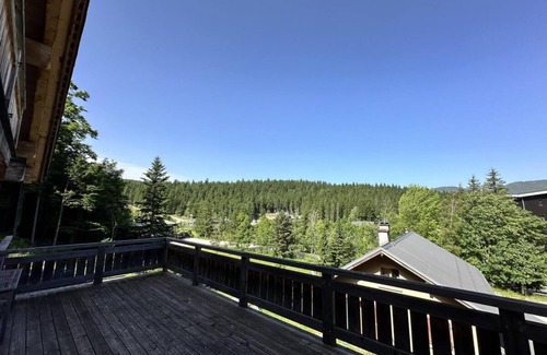 Correncon-en-Vercors Ski Chalet | Chalet, ski lifts base, sauna, terrace, balcony, fireplace or stove, tv, 160m², Villard de Lans