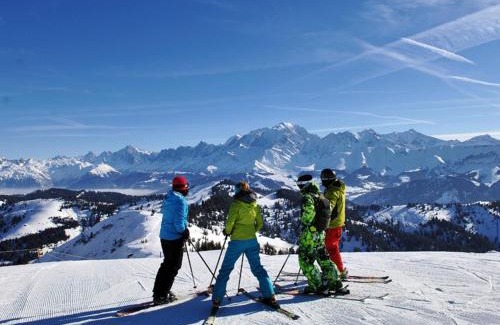 Crest-Voland Ski Chalet | Chalet spacieux proche pistes et centre, animaux acceptés et parking - FR-1-505-75