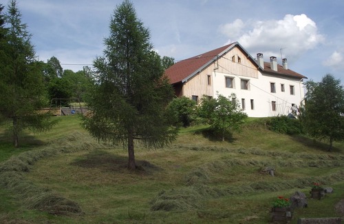 La Bresse Apartment | Chalet style apartment, quiet environment and mountain sports nearby