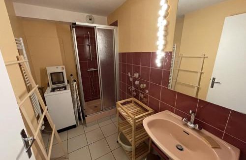 Laveissiere House | Chalet T3 près des pistes, 2 chambres, équipé, navette gratuite - FR-1-787-2