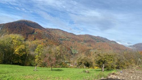 Onnion House | Chalet Tiny & Campagne