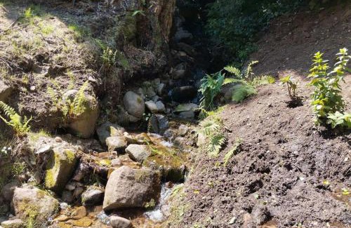 La Bresse Ski Chalet | Chalet Vosges La Bresse