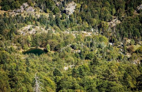 Laruns House | Chalets De L’arriutort 2 - Laruns