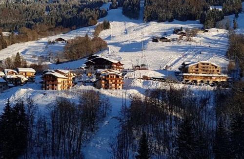 Flumet Apartment | Chalets des Evettes- appartement vue montagne