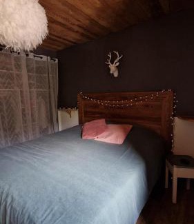 Monetier-les-Bains Apartment | chaleureux cocon dans les alpes