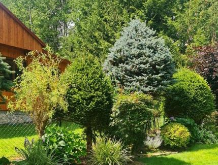 Dolni Podluzi House | Chaloupka U Matušků