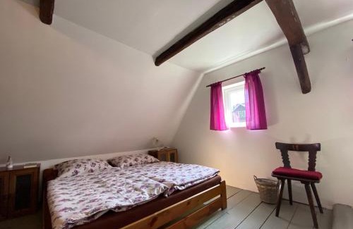 Dolni Chribska House | Chalupa Rozinka
