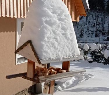 Rokytnice nad Jizerou Apartment | CHALUPA U BOBRA