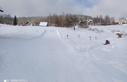Rokytnice nad Jizerou Apartment | CHALUPA U BOBRA