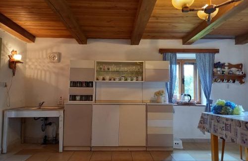 Frymburk House | Chalupa U Lesa Frymburk Lipno