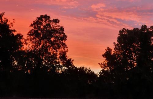 Boudry House | Chambre aux bord de l'Areuse