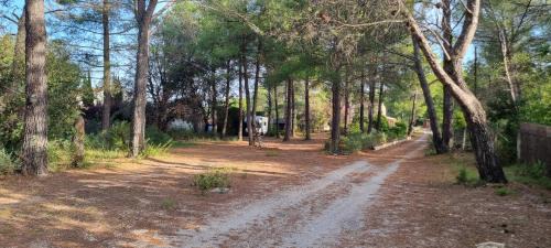 Eguilles Bed & Breakfast | Chambre d'hôte BB proche d'Aix en Provence