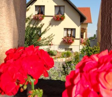 Nothalten Bed & Breakfast | Chambre d'hôtes du Zellberg