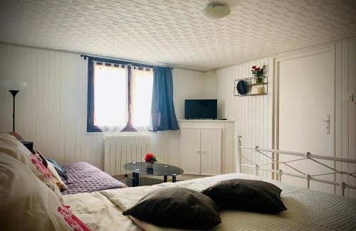 Gland House | Chambre en rez de jardin