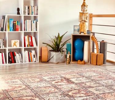 Le Blanc-Mesnil House | Chambre hotes moderne Parc des expositions Bourget Villepinte avec jardin et ambiance calme