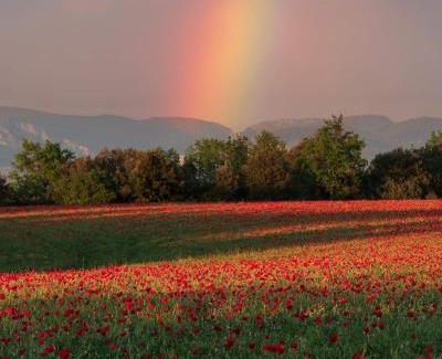 Rognes Bed & Breakfast | Chambre raisin 2p, pour 2 nuits max, a 6km du festival de piano de la roque d'anthéron à 100m de la piscine
