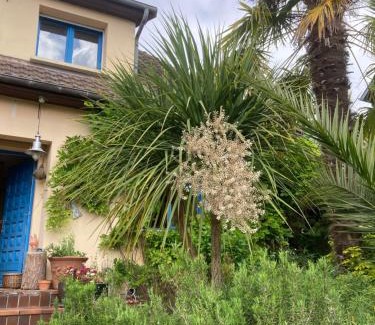 Mondeville Bed & Breakfast | Chambre spacieuse et lumineuse