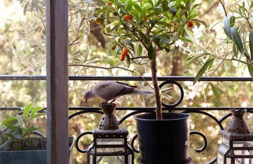 Le Chapitre Bed & Breakfast | Chambres D'hôtes Chez Marie