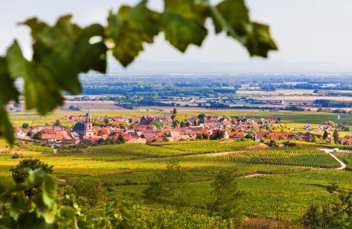 Saint-Hippolyte Bed & Breakfast | Chambres d'hôtes François Bleger