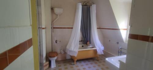 Bessines-sur-Gartempe Bed & Breakfast | Chambres d'Hôtes-Château Constant