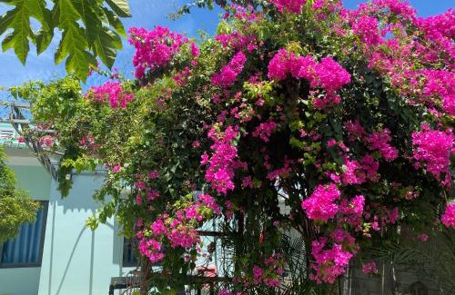 Phan Rang House | Chanh's House