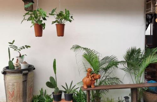 Ayutthaya House | Chanida home