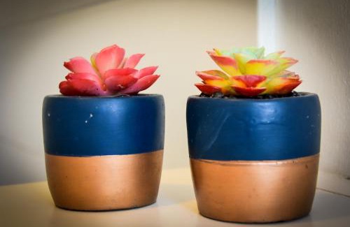 Beaufort West Apartment | Charlie's Place - Self catering studio