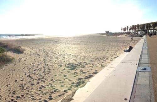 Sete Apartment | Charmant 2 pièces cabine avec parking et animaux admis à Sète - FR-1-338-136