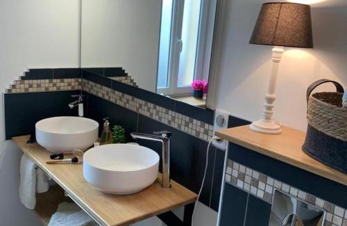 Saligny-sur-Roudon House | Charmant gîte Sologne Bourbonnaise avec terrasse et clim - FR-1-489-379