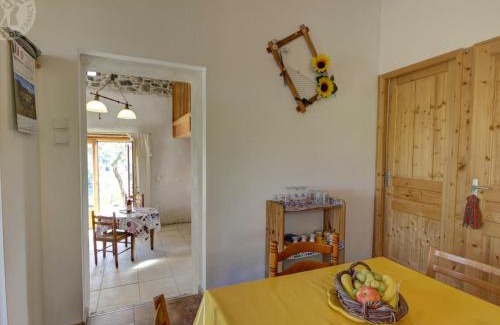 Saint-Marcel-de-Felines Apartment | Charmant gîte avec vue sur les monts du Forez, terrain privatif, proche chateau et bourg pittoresque ! - FR-1-496-173