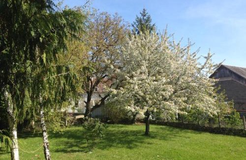 Pouligny-Saint-Pierre House | Charmante maison dans le Parc de la Brenne, idéale pour familles avec jardin, proche zoo et activités nature - FR-1-591-83