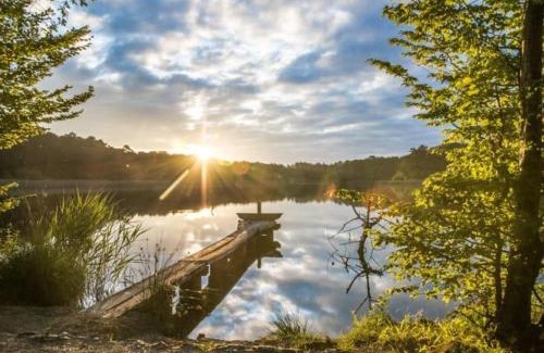 Mur-de-Sologne House | Charmante maison Solognote avec jardin à Mur-de-Sologne - FR-1-491-373