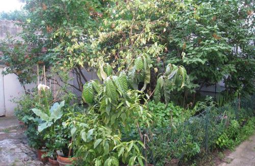 Les Puces de Saint-Ouen Apartment | Charmante maisonnette aux portes de paris