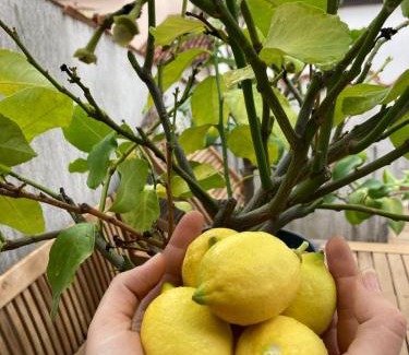 Muggia House | Charmantes Altstadthaus mit Dachterrasse
