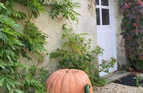 Sainte-Maure-de-Touraine Cottage | Charming family cottage with pool and garden in Touraine