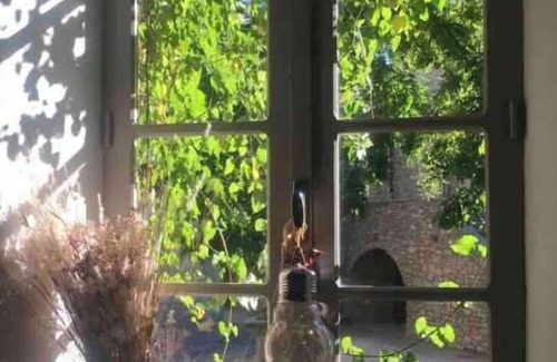 Saint-Martin-de-Londres House | CHARMING OLD VILLAGE HOUSE, between Garrigues and PIC St LOUP