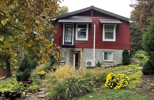 Nitro Apartment | Charming 1 bedroom near Charleston hospitals