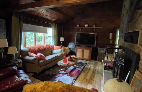 Nisbet Cabin | Charming 2-bedroom cabin in nice Cogan Station with AC