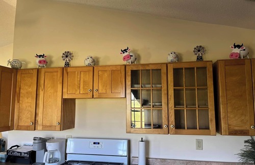 Middlebury Cottage | Charming 2-bedroom cottage with WiFi, AC in peaceful Middlebury