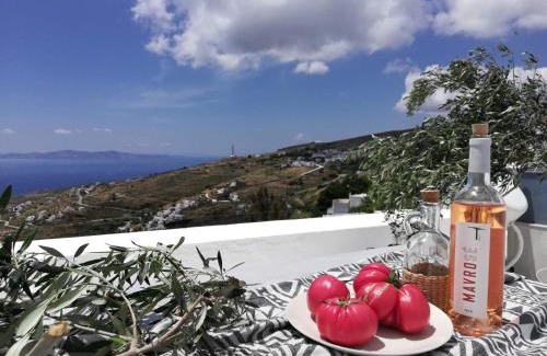 Tinos Apartment | CHARMING 2BR Hilltop Serenity Suite, Lively Greek Village