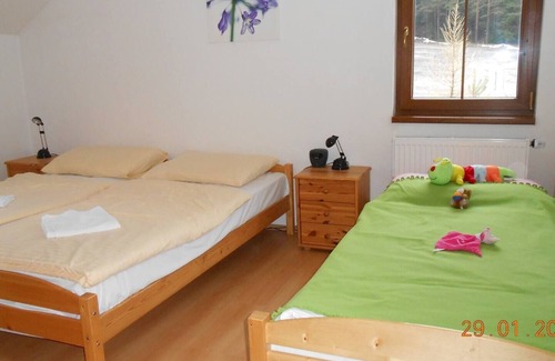 Lipno nad Vltavou Villa | Charming 3-Bed Villa in Lipno nad Vltavou