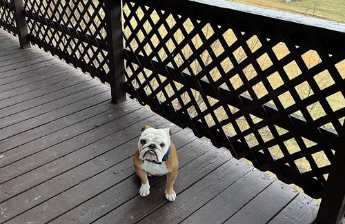 Kirby House | Charming 3-bedroom house in Rio with AC, WiFi. Enjoy your stay