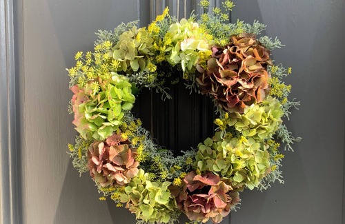 Moze-sur-Louet House | Charming * house with vineyard view